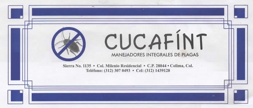 leetx-google-photo-76162-1