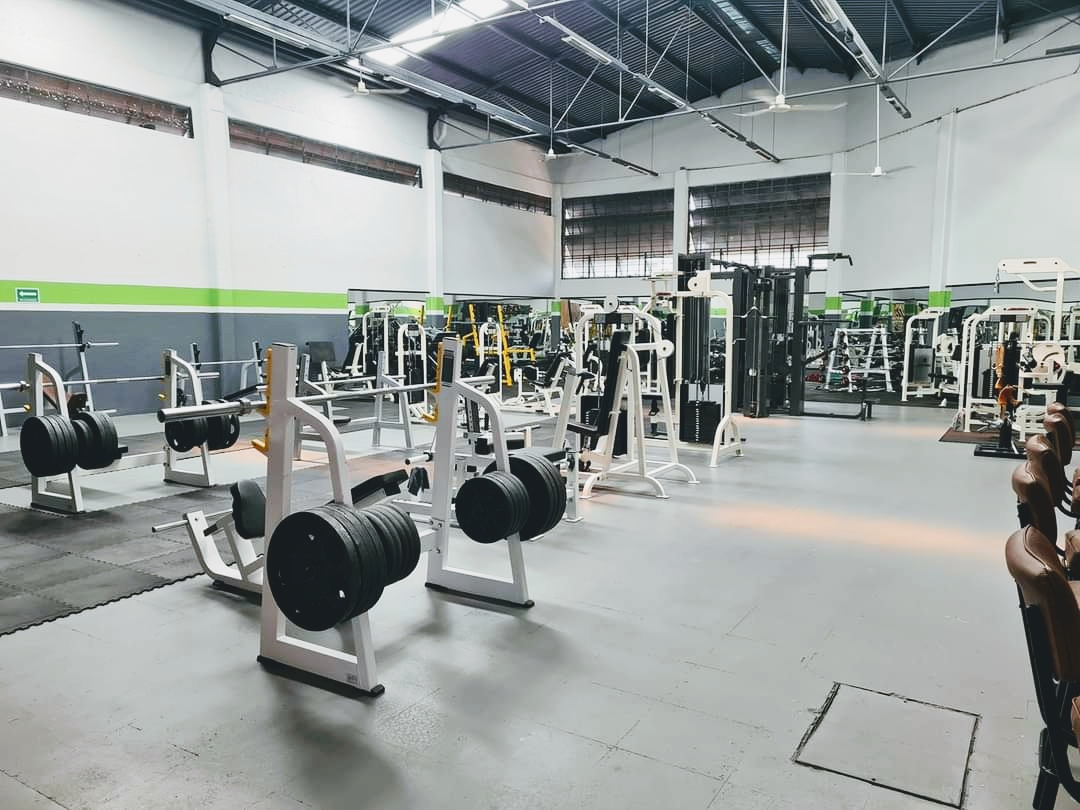 leetx-google-photo-76186-1