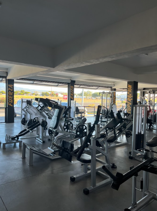 leetx-google-photo-76245-8 leetx-google-photo-76245-8