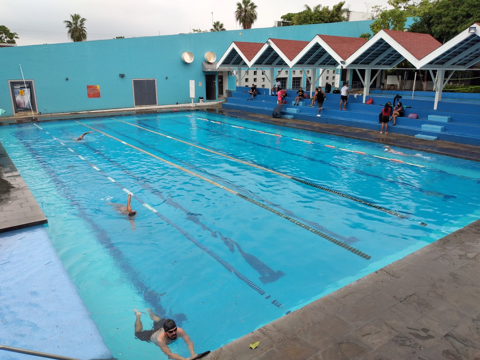 leetx-google-photo-76275-1