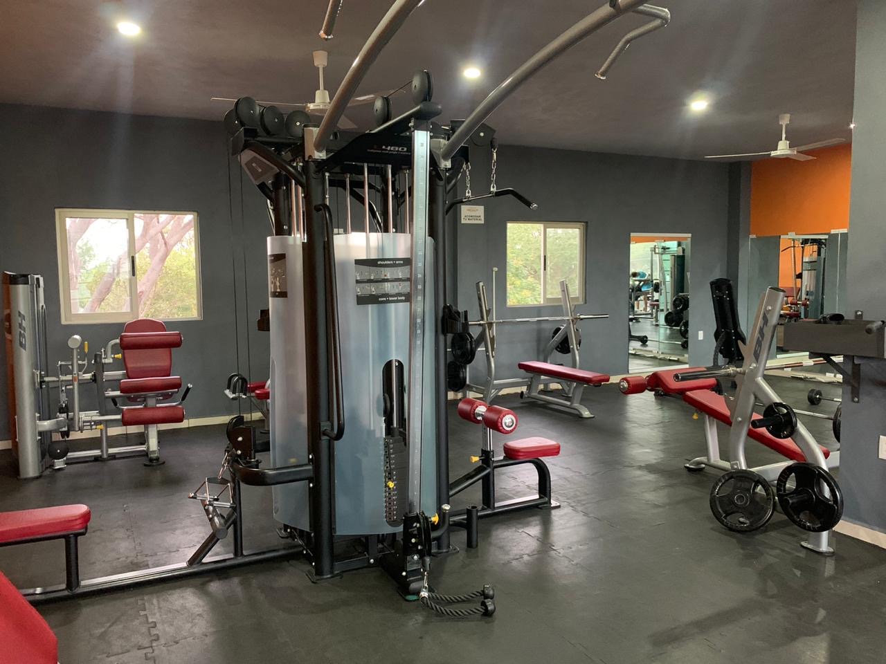 leetx-google-photo-76312-1