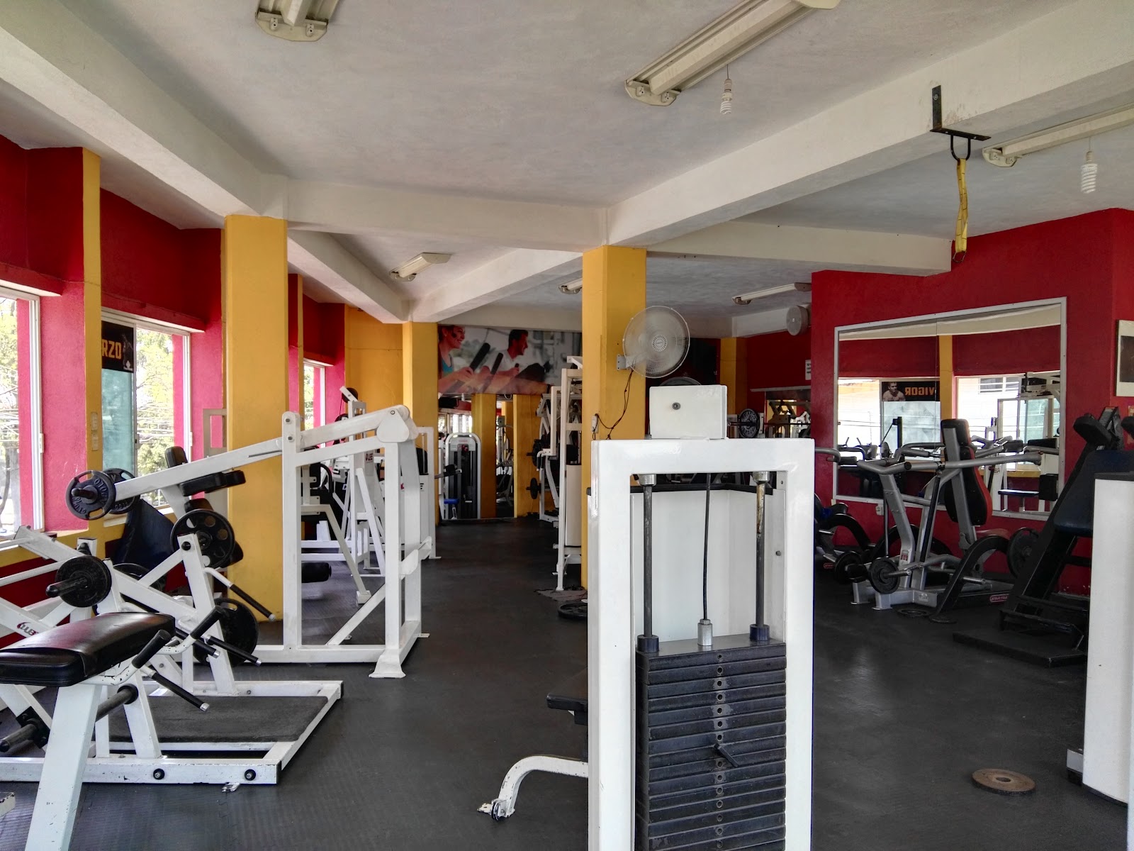 leetx-google-photo-76323-1