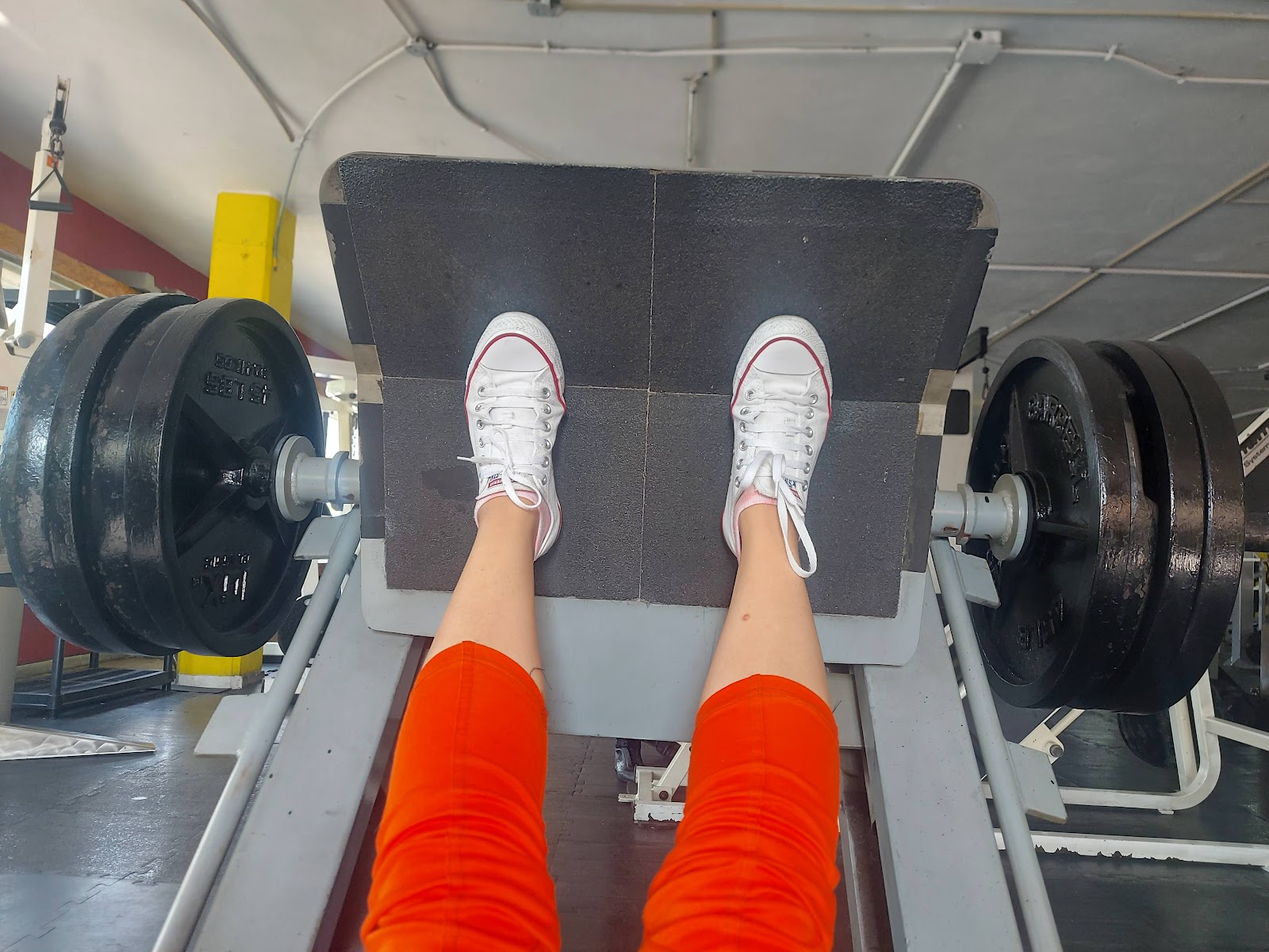 leetx-google-photo-76323-3 leetx-google-photo-76323-3