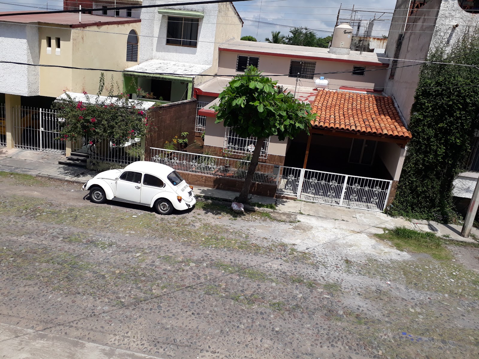 leetx-google-photo-76323-6 leetx-google-photo-76323-6