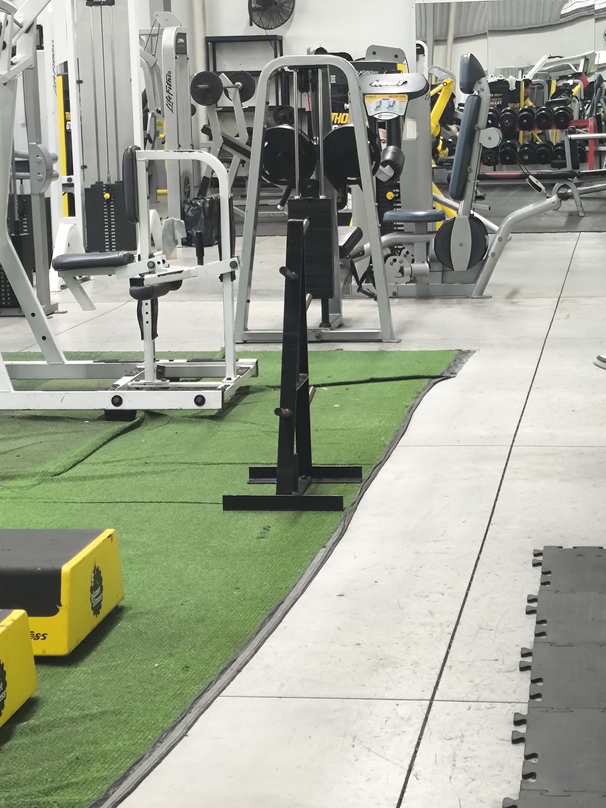 leetx-google-photo-76359-5 leetx-google-photo-76359-5