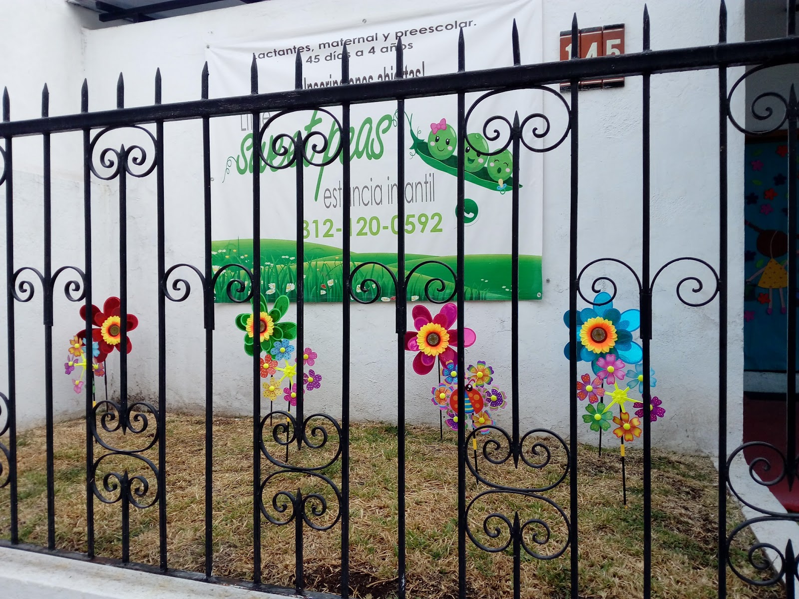 leetx-google-photo-76587-5 leetx-google-photo-76587-5