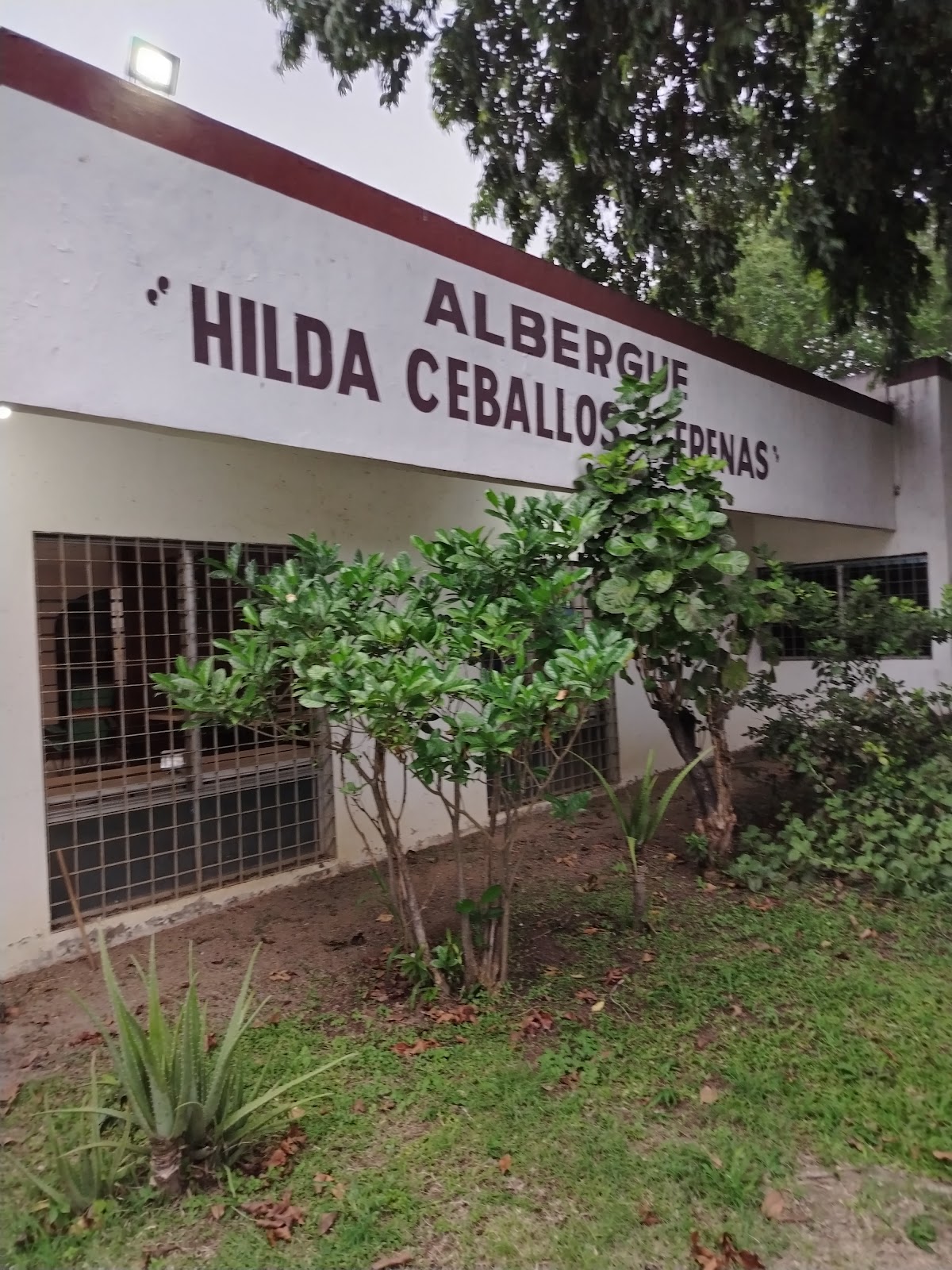 leetx-google-photo-76616-1