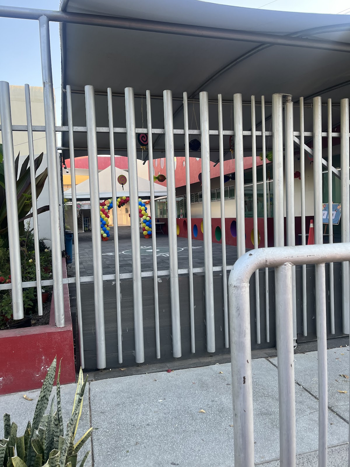 leetx-google-photo-76697-1