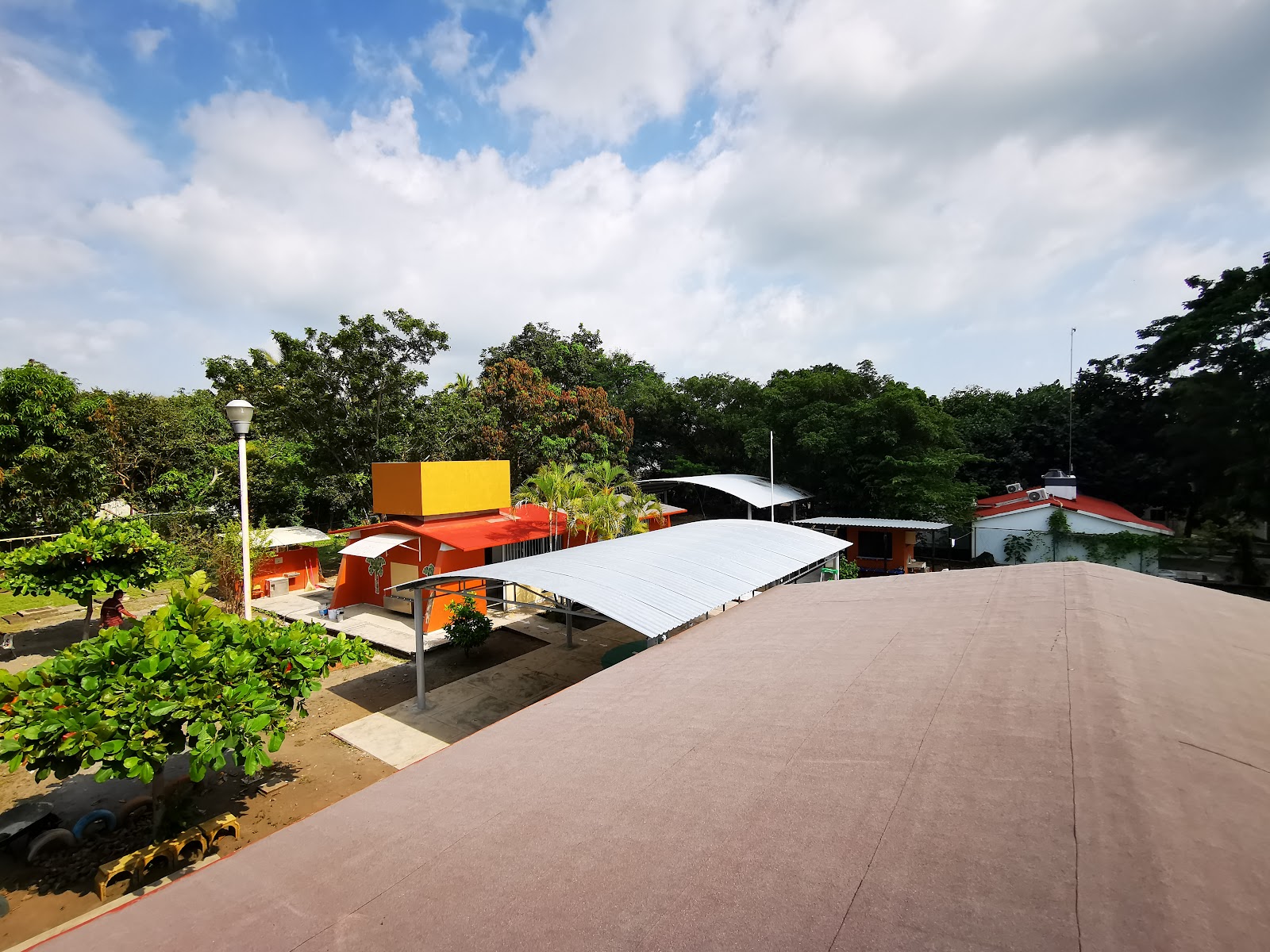 leetx-google-photo-76711-2 leetx-google-photo-76711-2