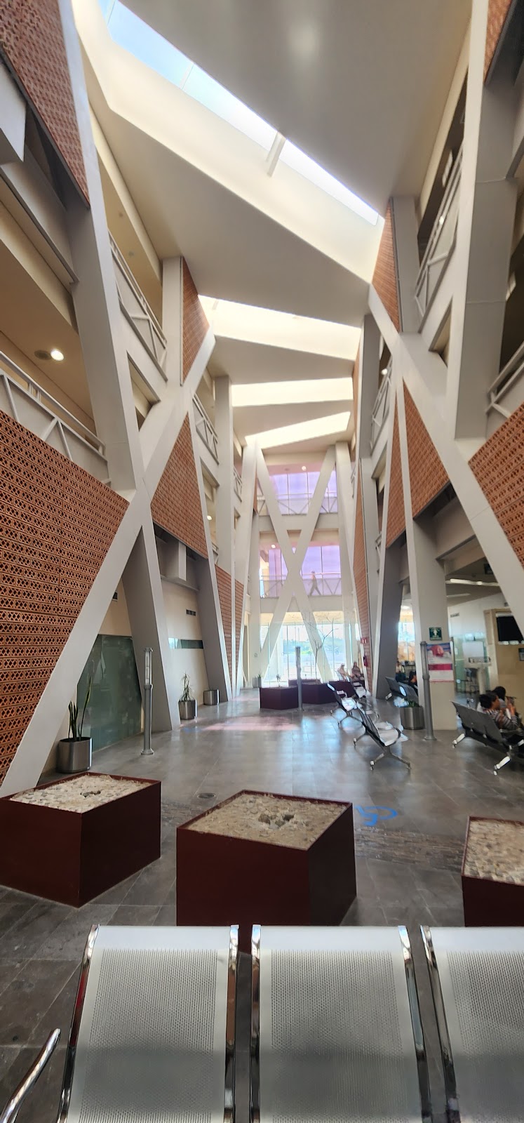 leetx-google-photo-76737-1