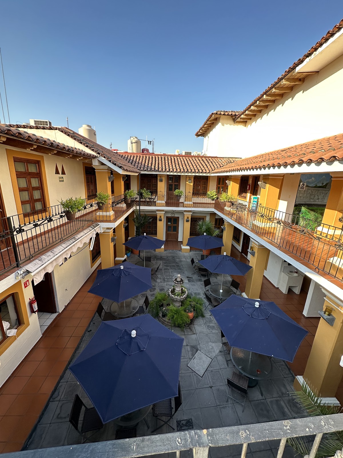 leetx-google-photo-76986-1