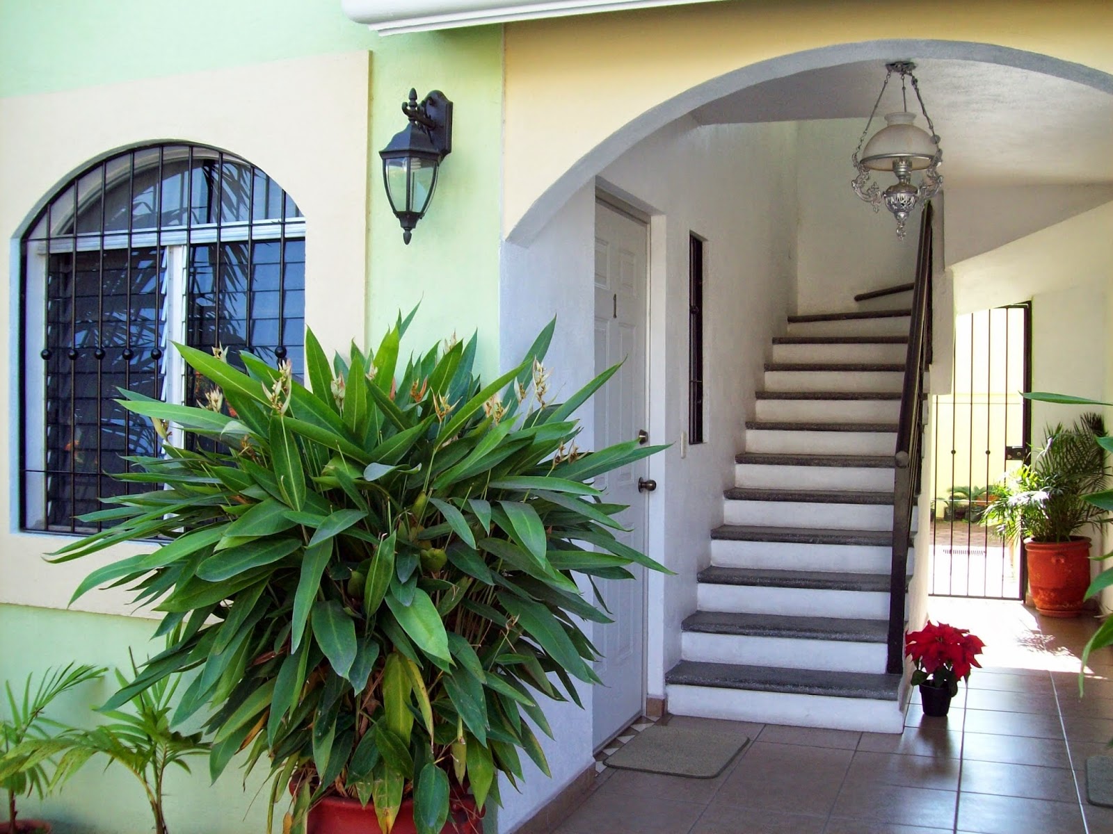 leetx-google-photo-77066-1