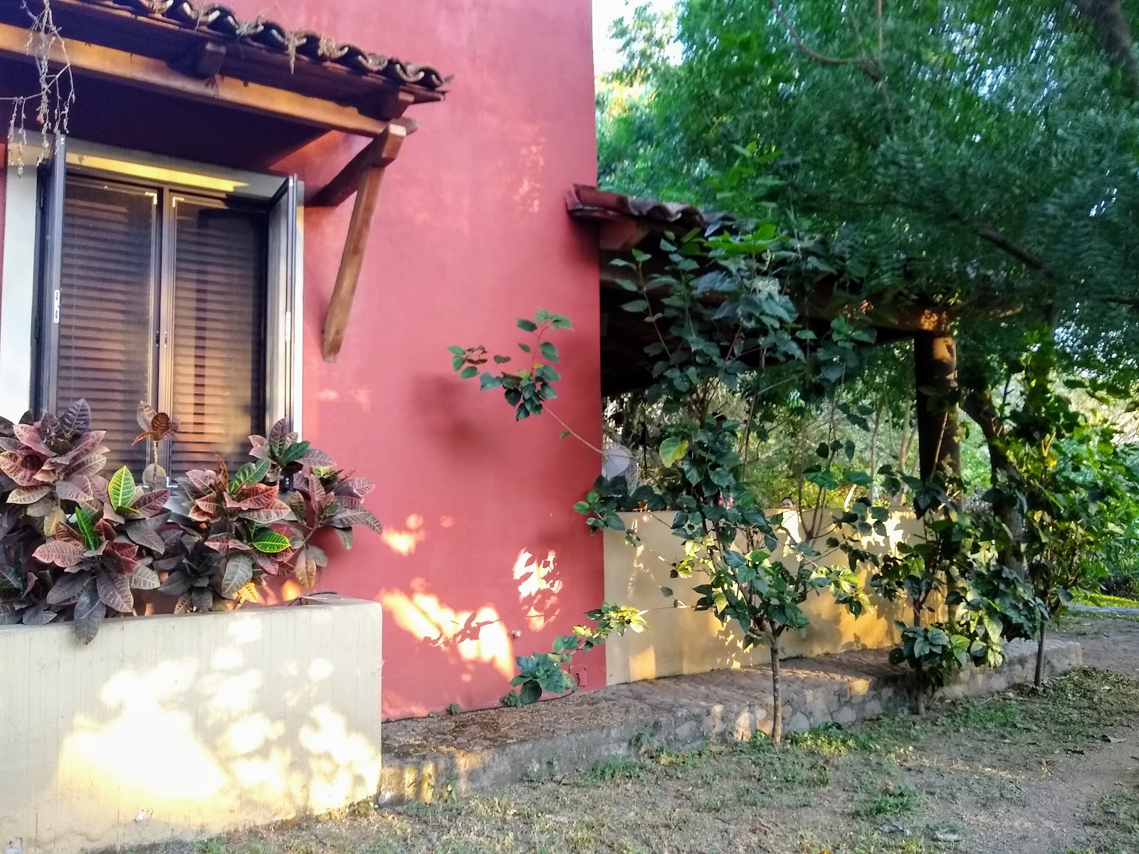 leetx-google-photo-77105-1