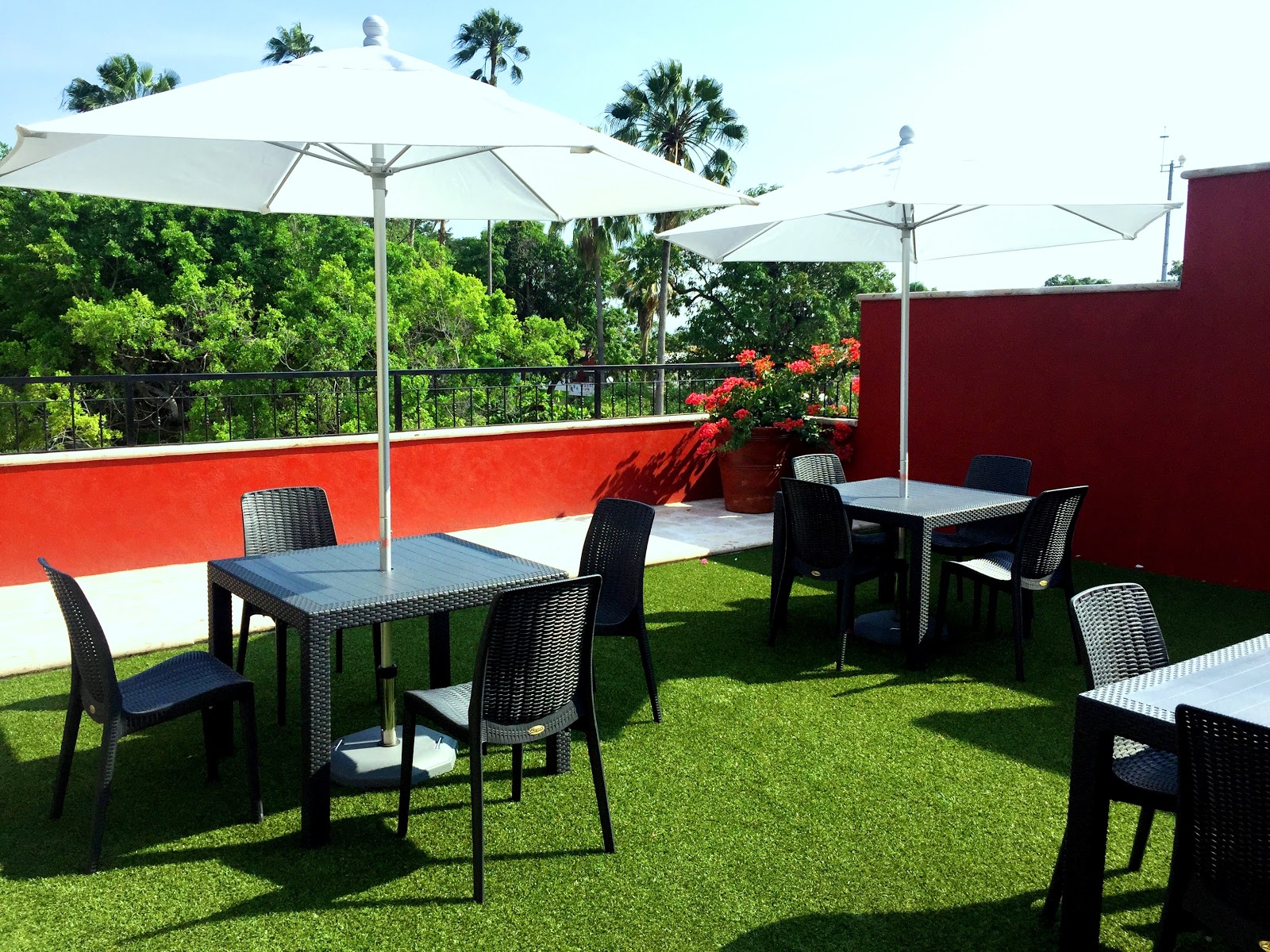 leetx-google-photo-77239-1