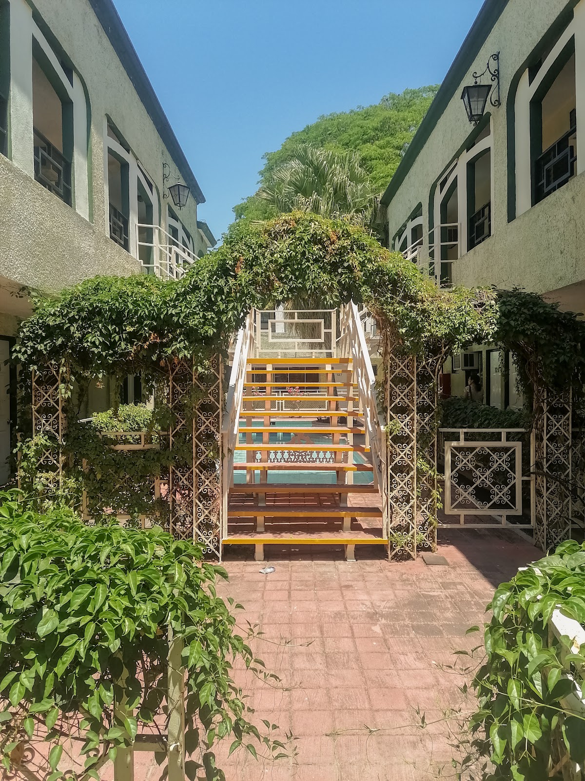 leetx-google-photo-77259-1