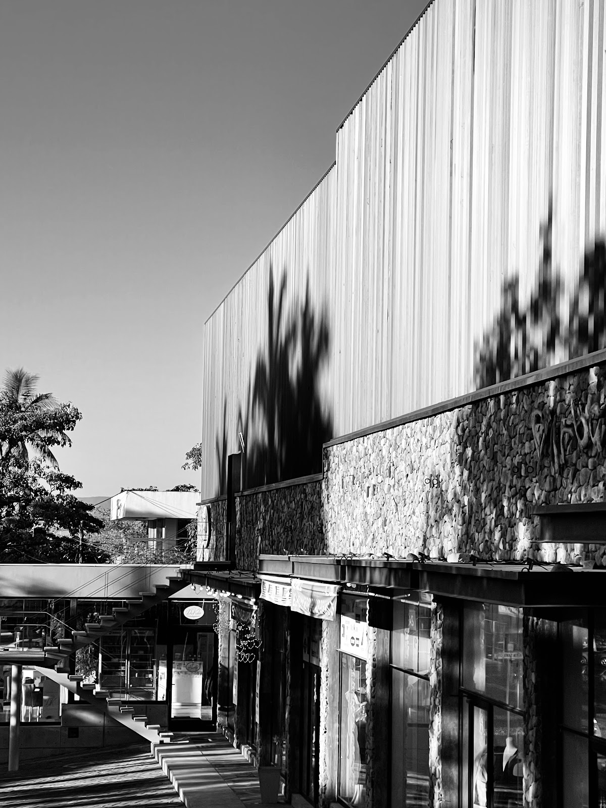 leetx-google-photo-77269-1