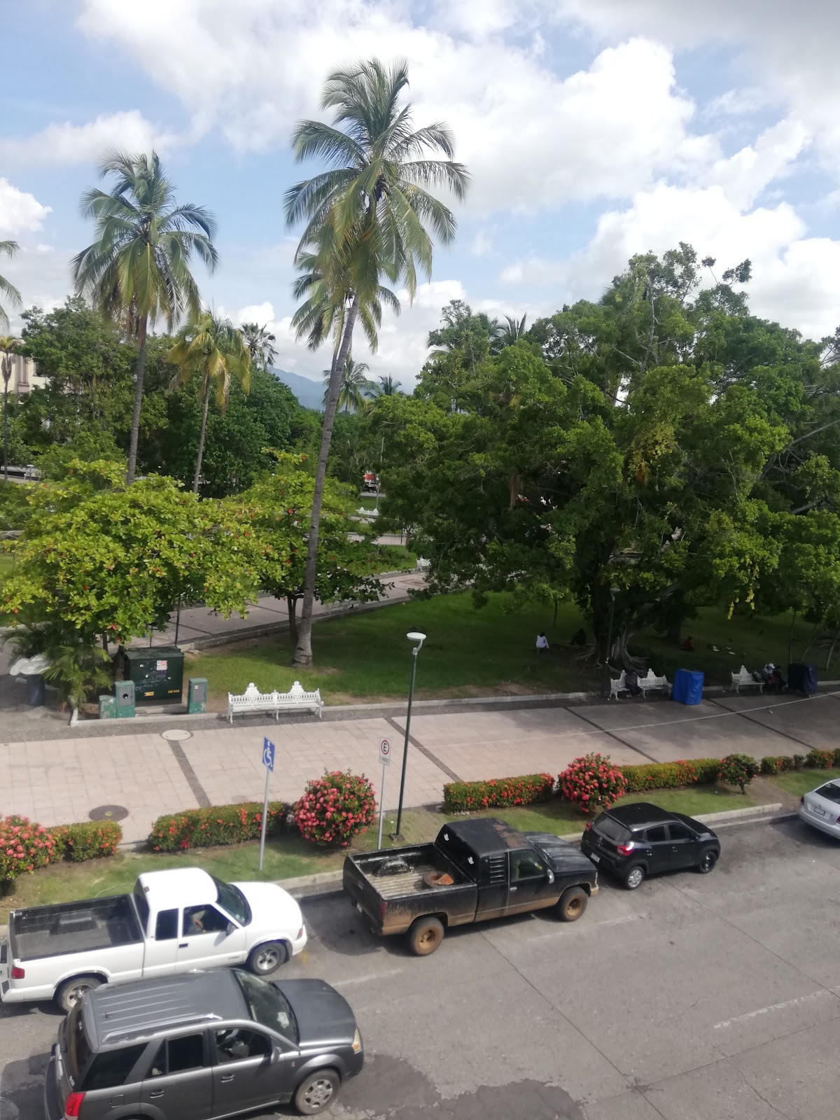 leetx-google-photo-77278-1