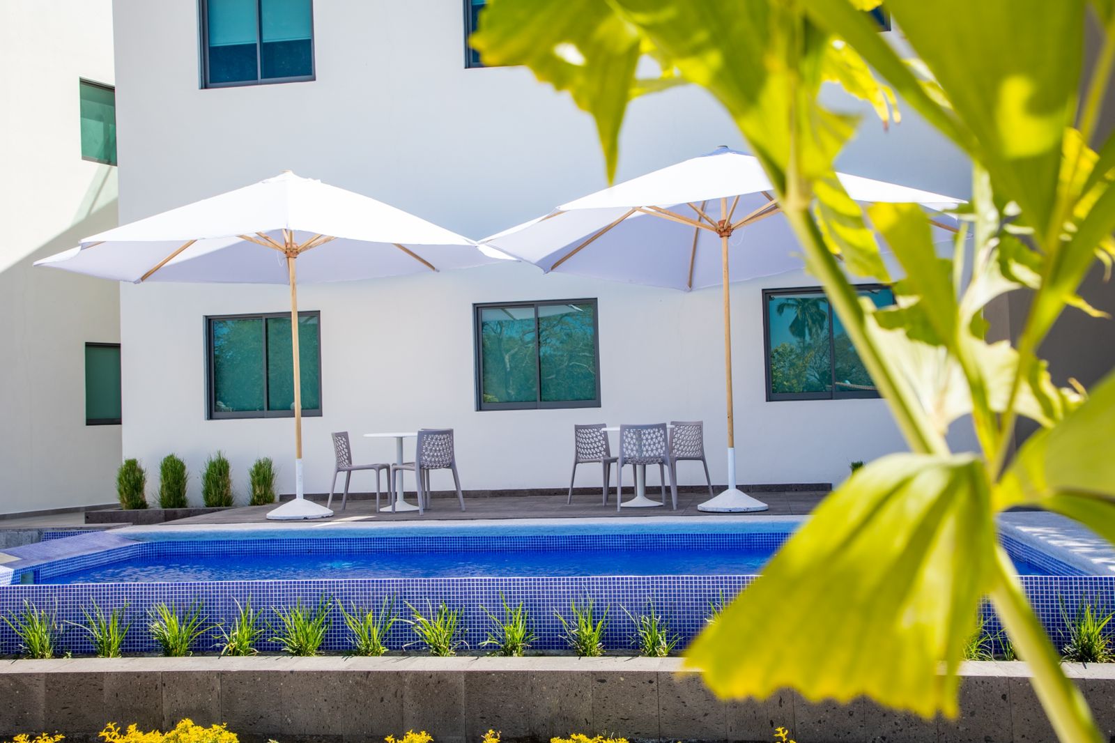 leetx-google-photo-77295-1