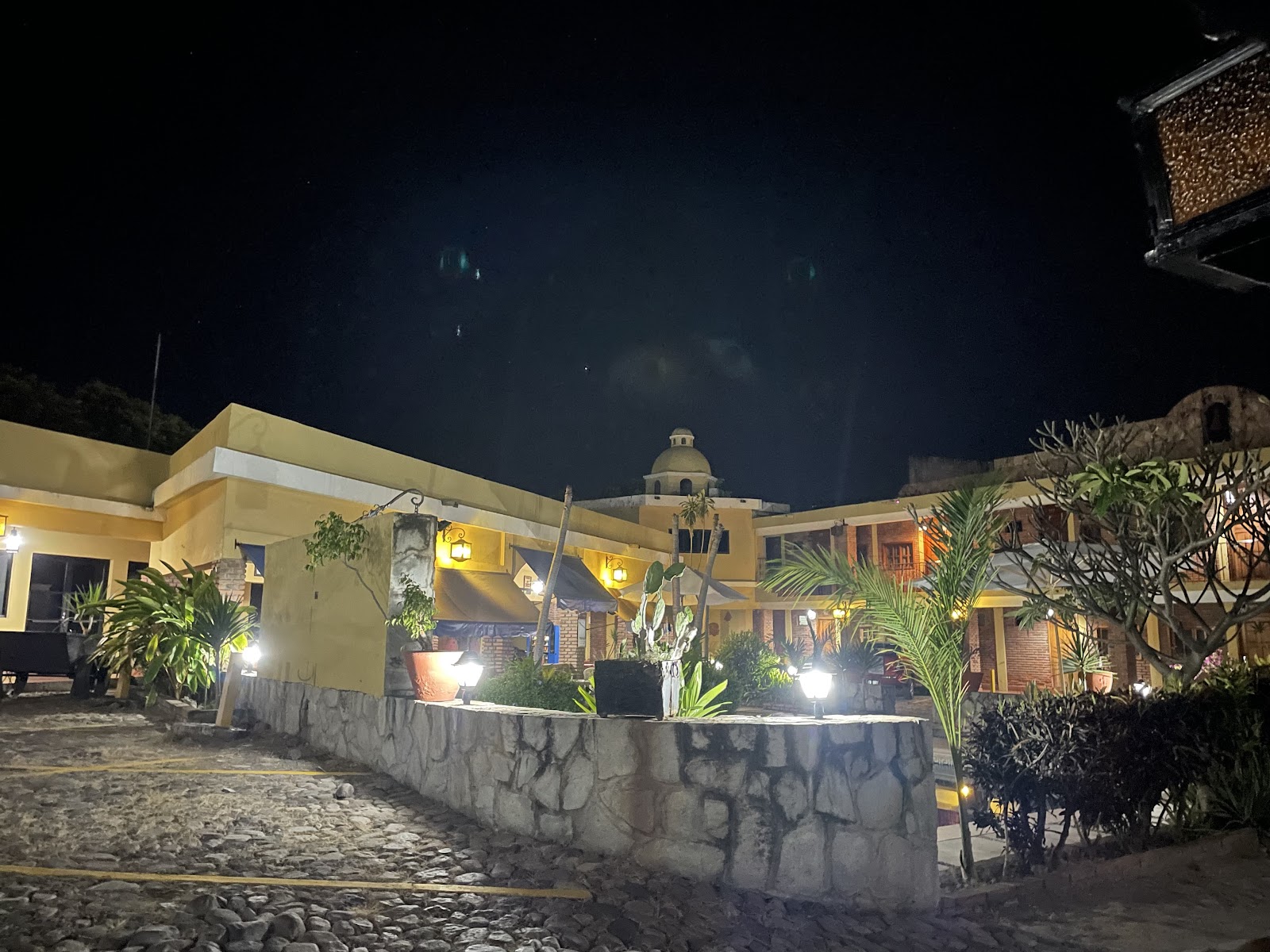 leetx-google-photo-77352-1