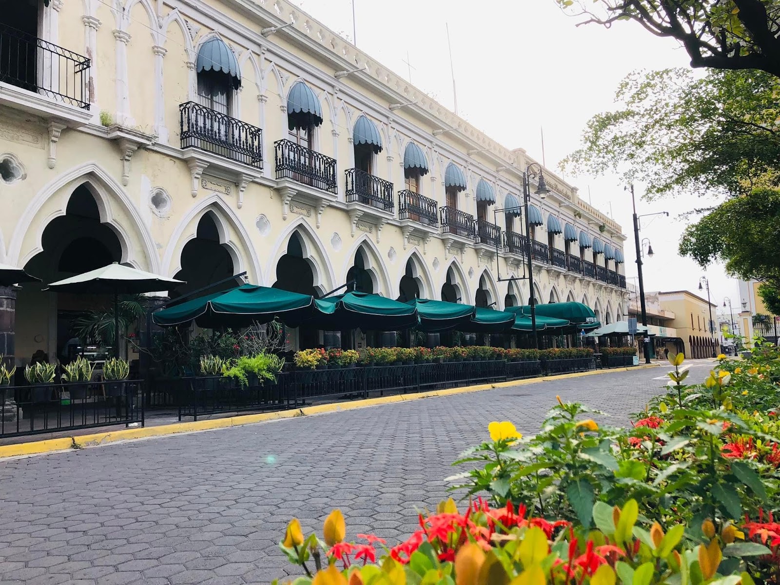 leetx-google-photo-77372-1