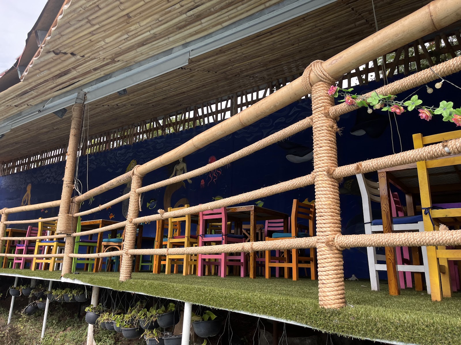 leetx-google-photo-77394-1