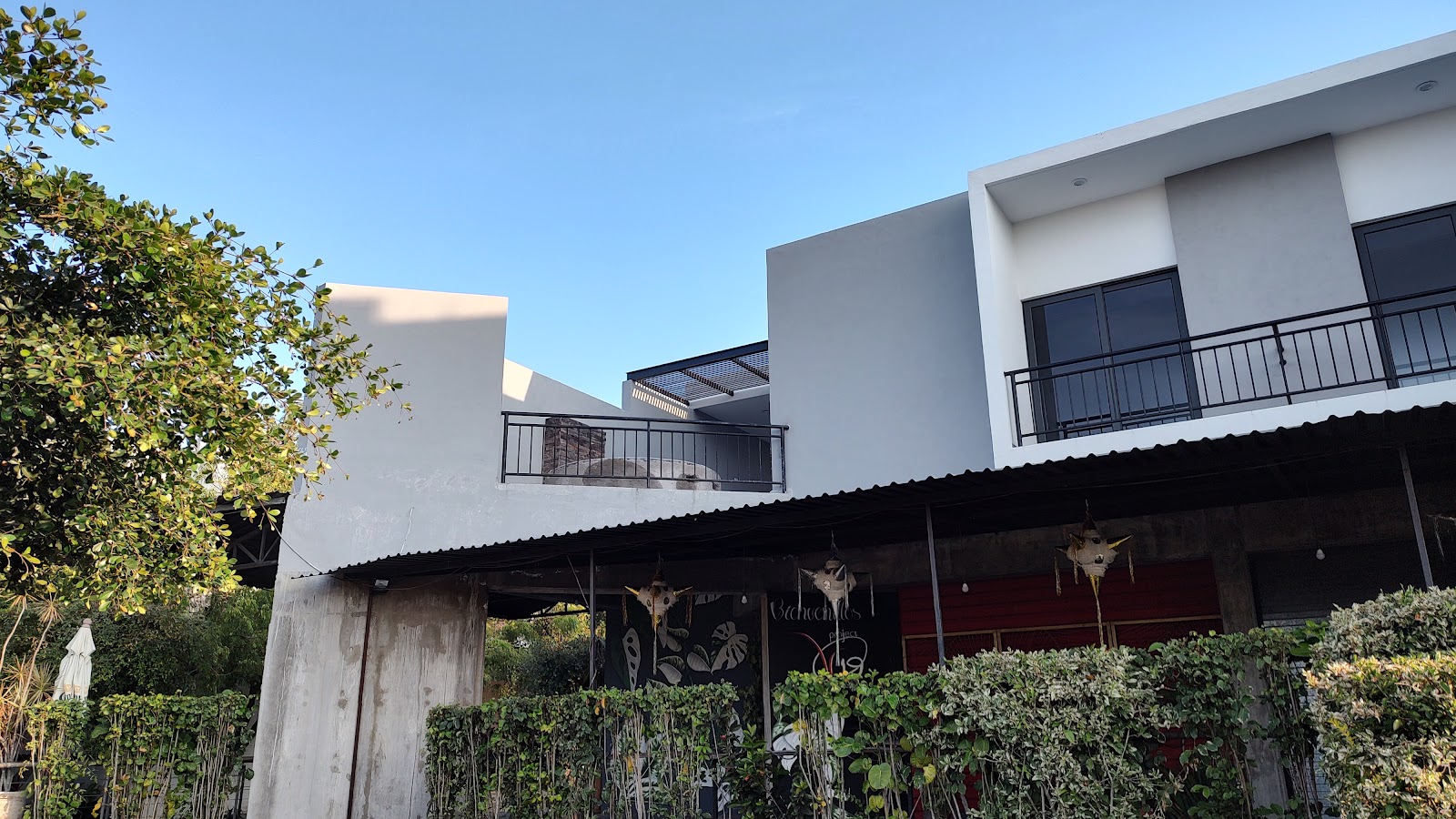 leetx-google-photo-77434-1