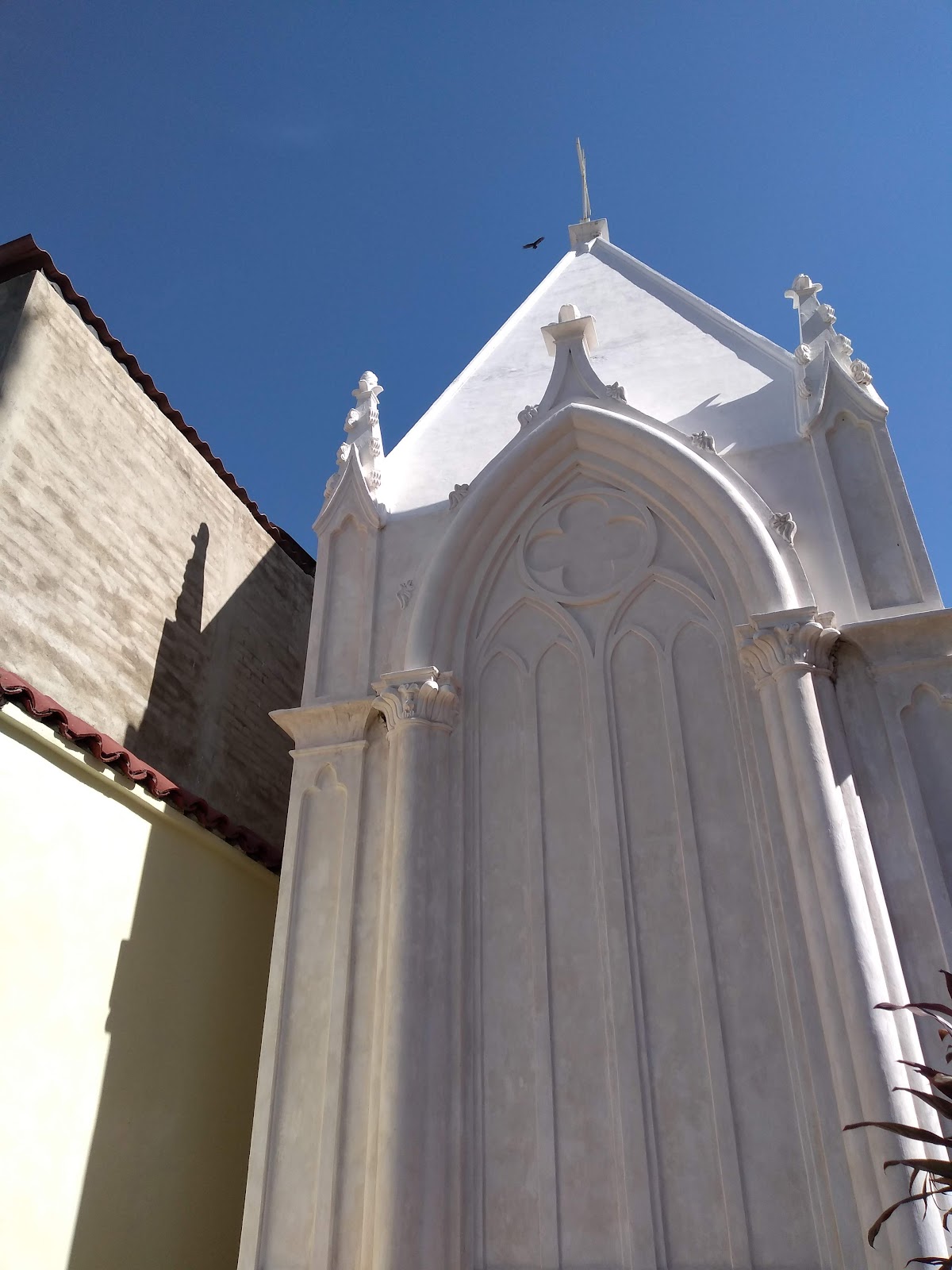 leetx-google-photo-77504-8 leetx-google-photo-77504-8