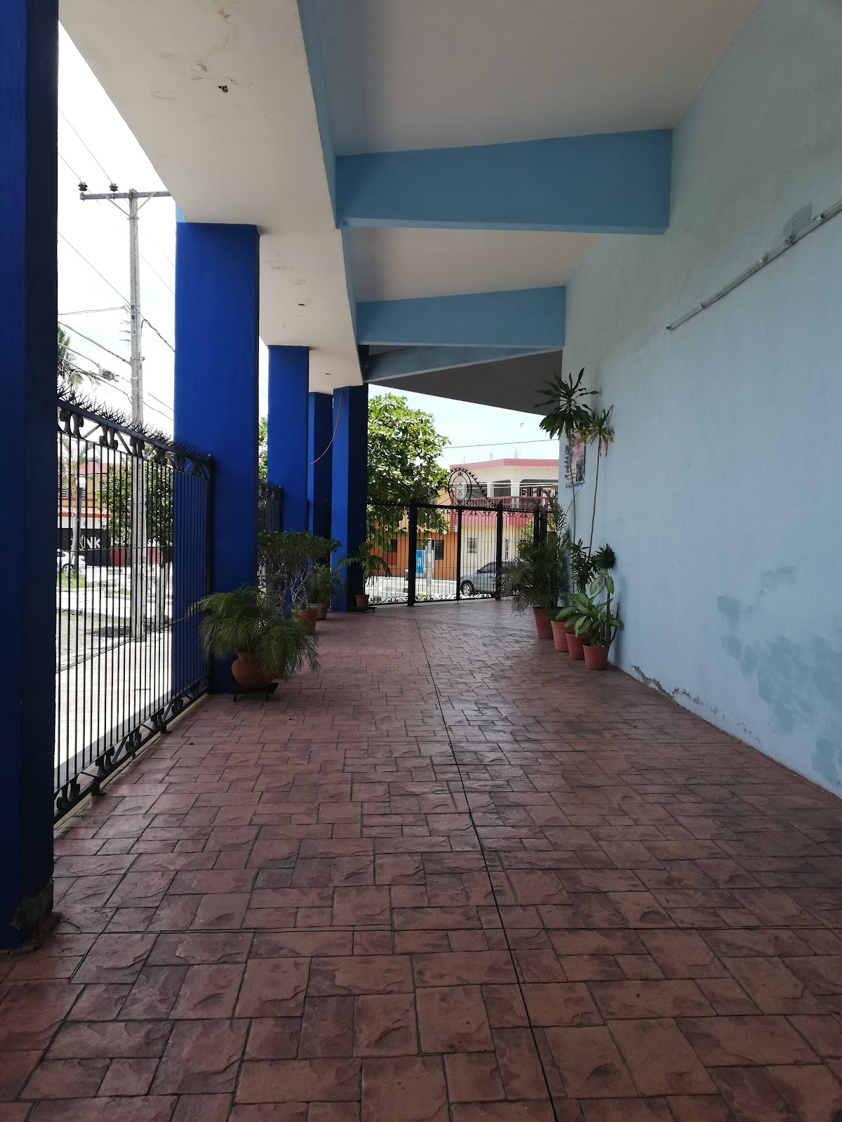 leetx-google-photo-77614-4 leetx-google-photo-77614-4