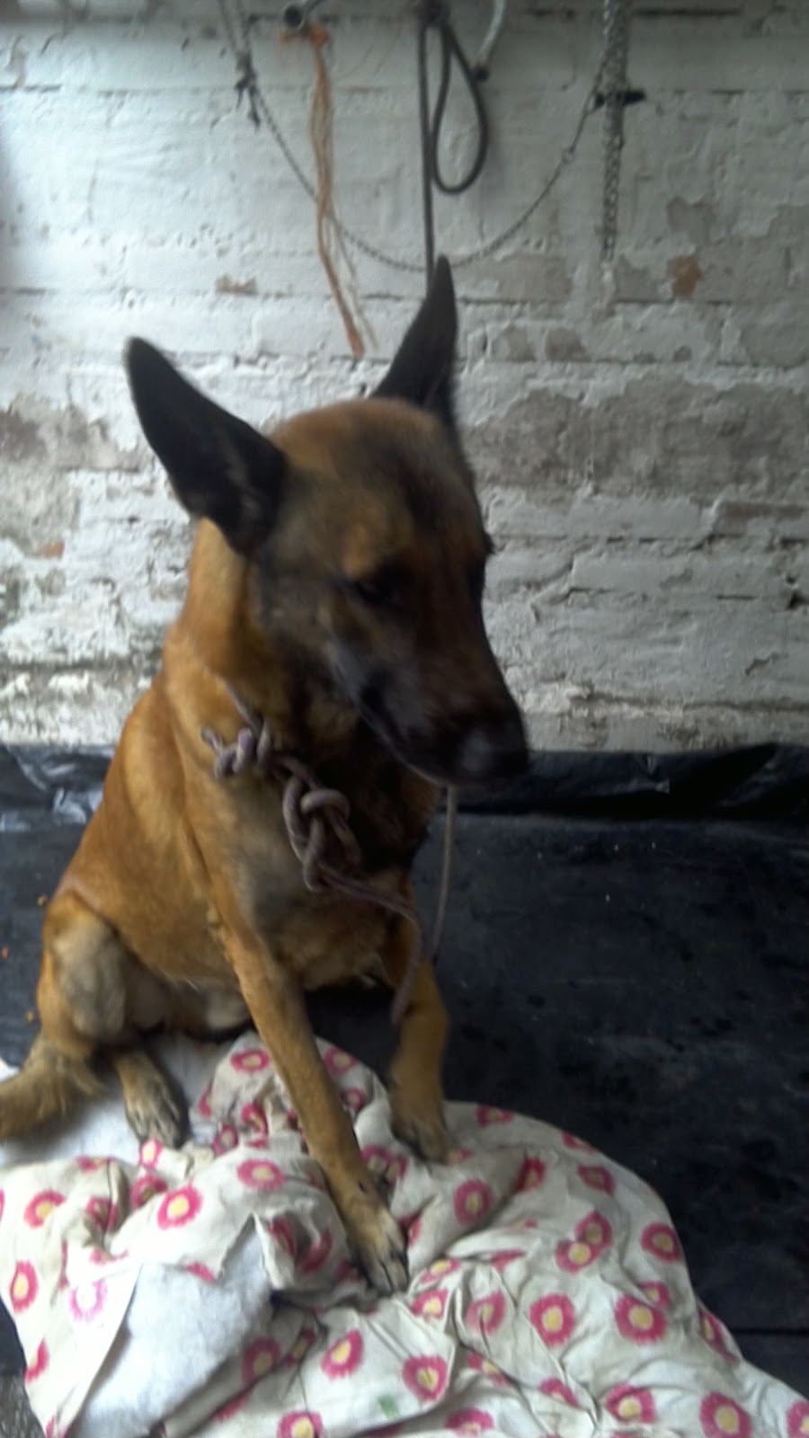 leetx-google-photo-77634-5 leetx-google-photo-77634-5