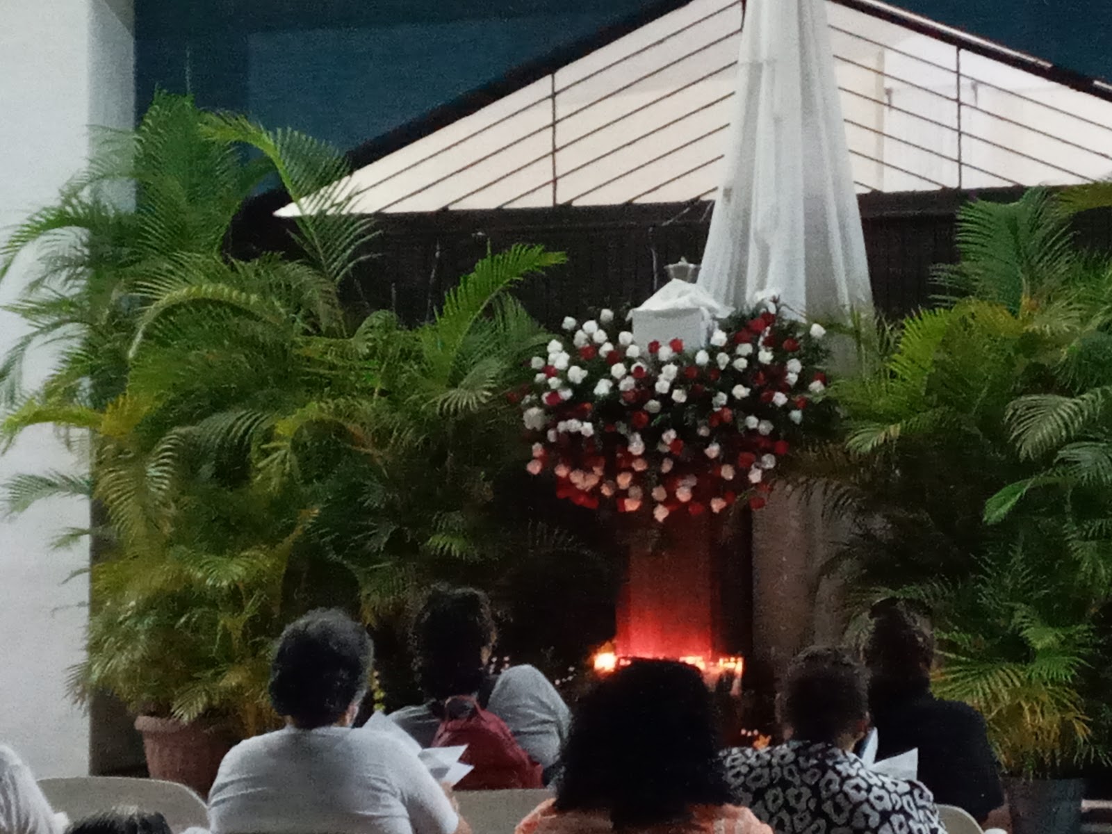 leetx-google-photo-77684-8 leetx-google-photo-77684-8