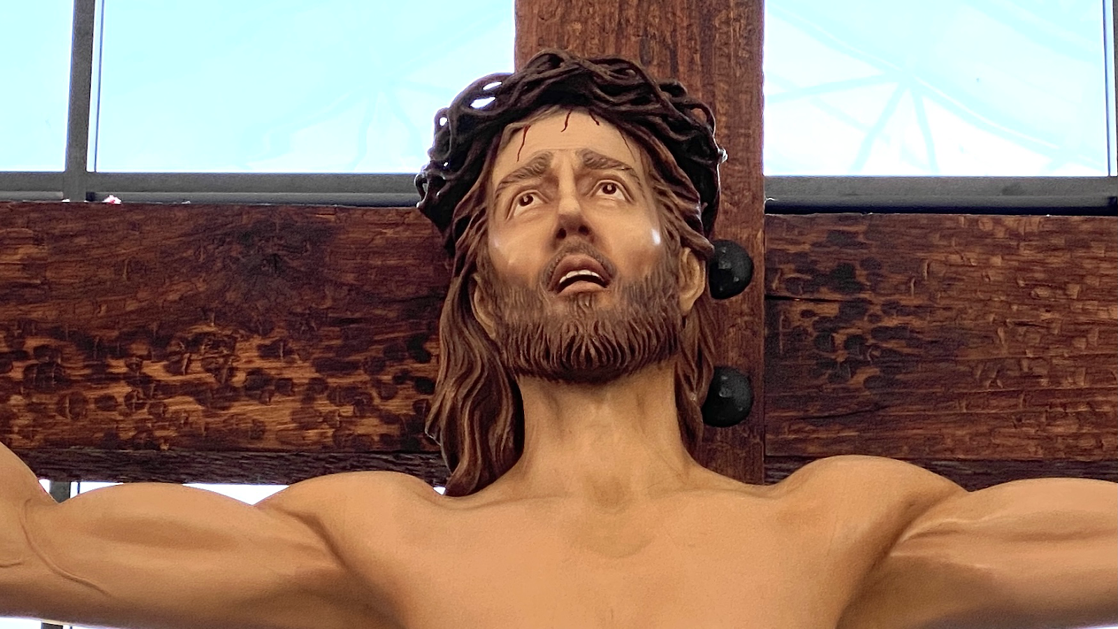 leetx-google-photo-77817-1