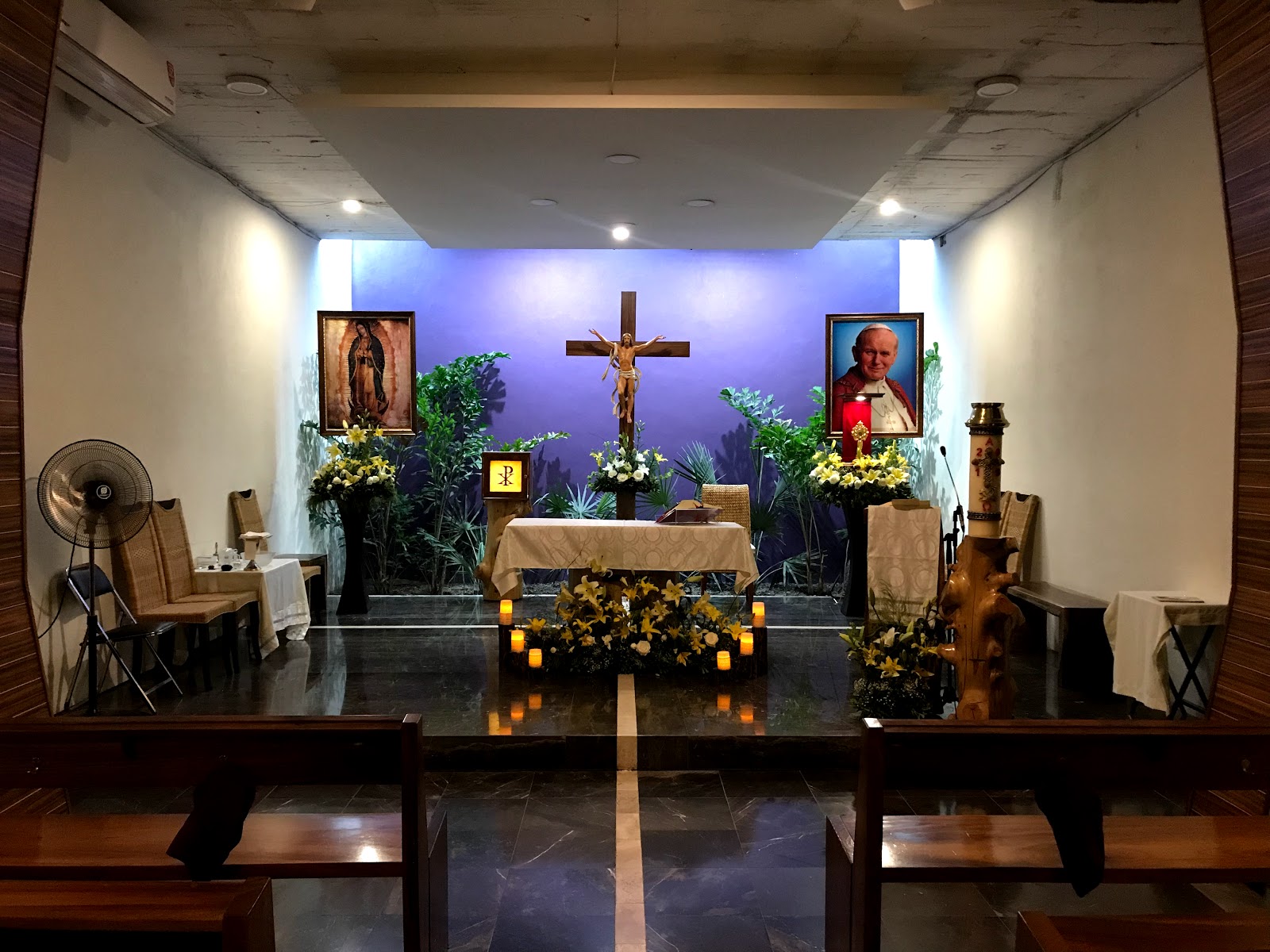 leetx-google-photo-77817-7 leetx-google-photo-77817-7