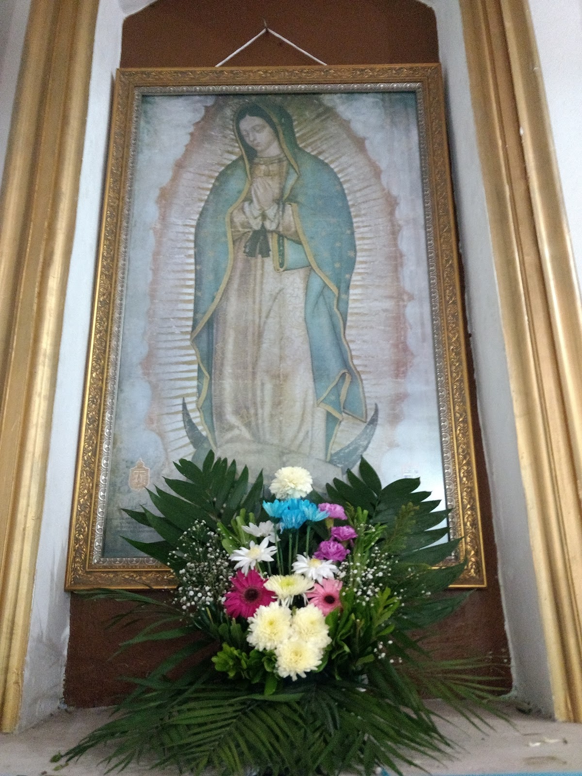 leetx-google-photo-77847-7 leetx-google-photo-77847-7