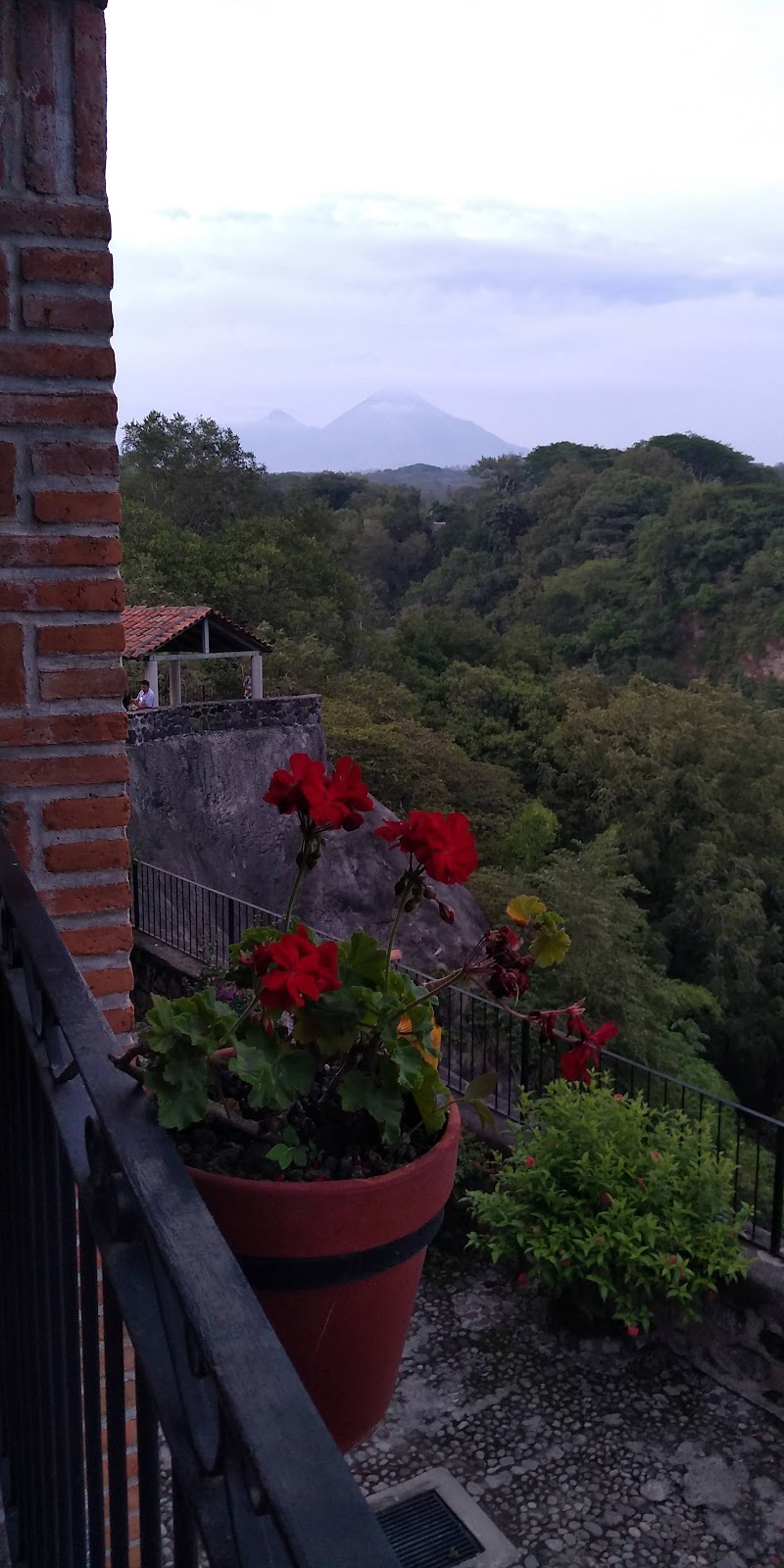 leetx-google-photo-77857-6 leetx-google-photo-77857-6