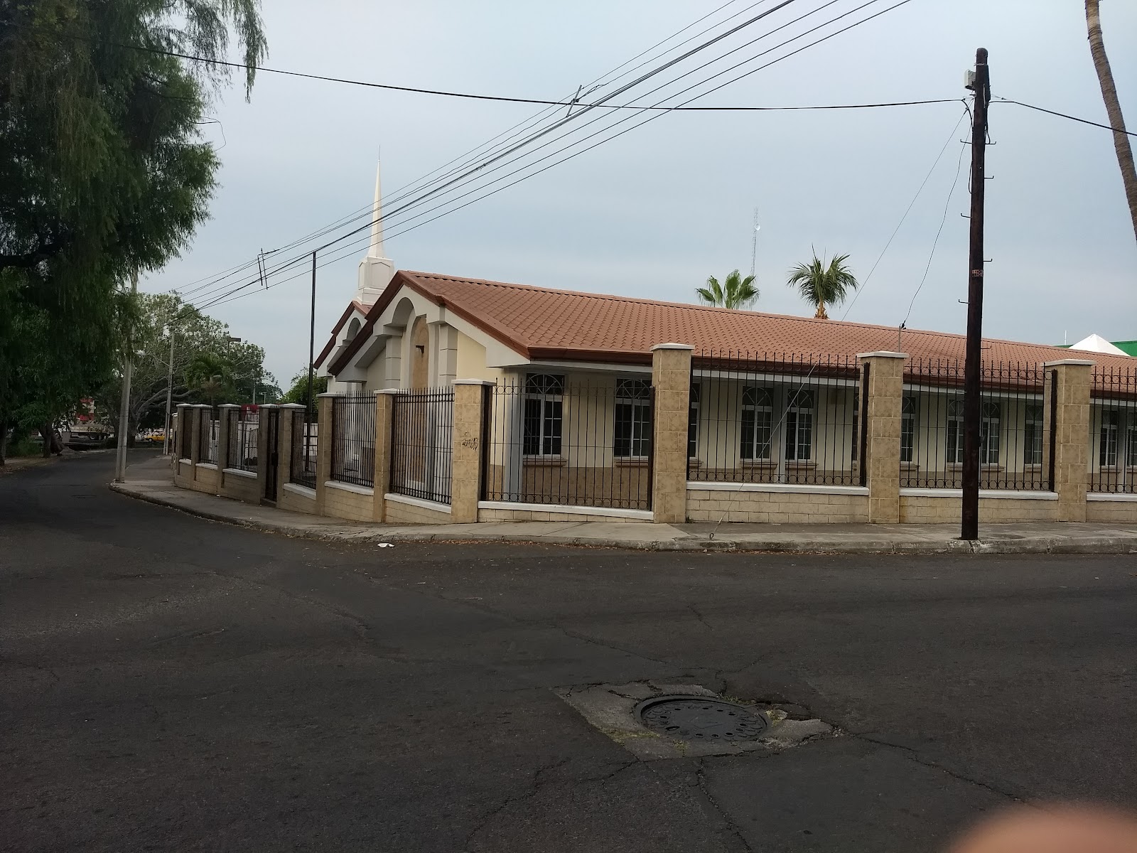 leetx-google-photo-77914-1