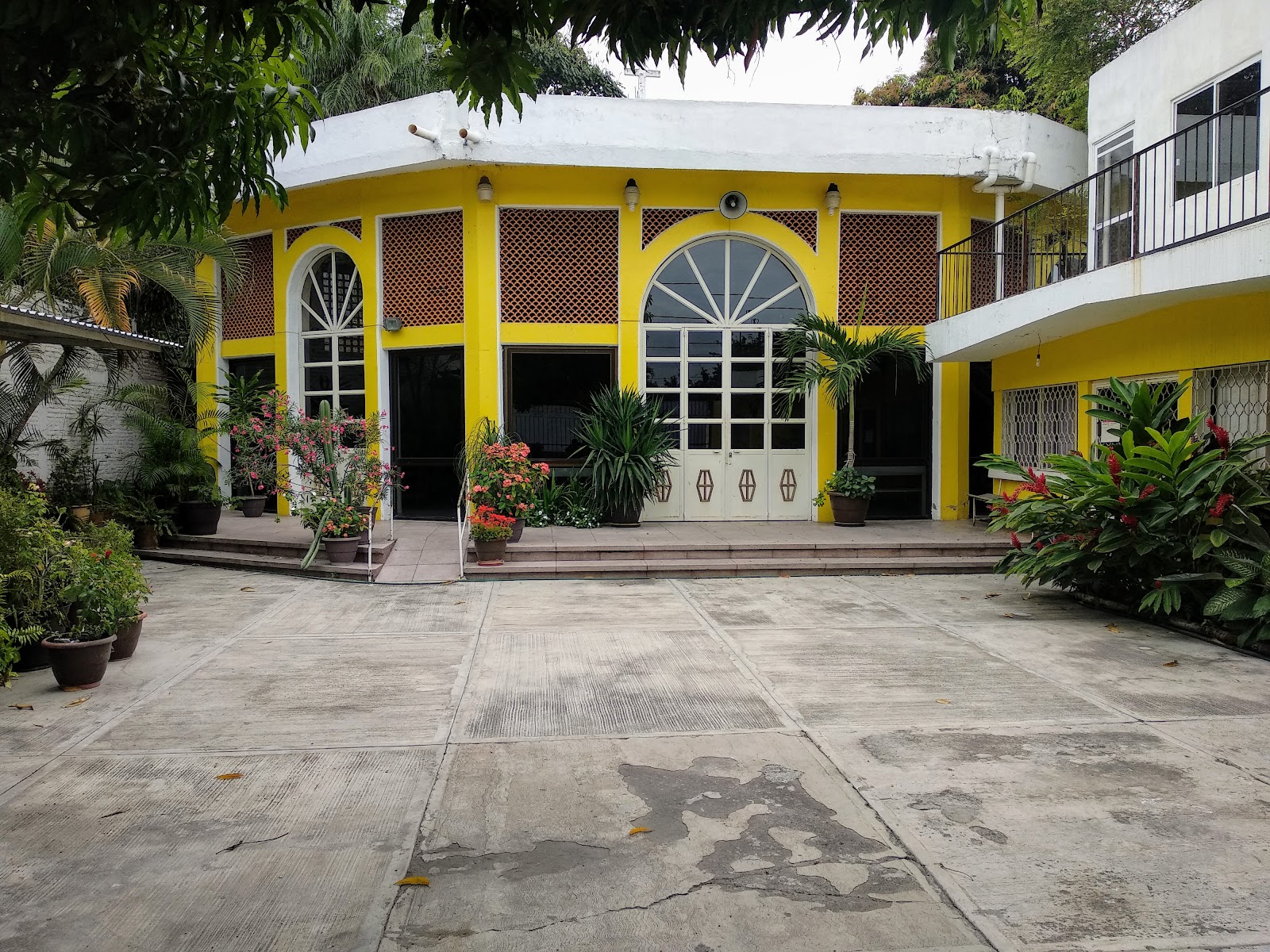 leetx-google-photo-77935-1