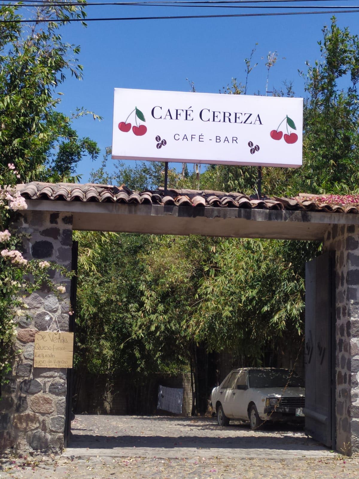 leetx-google-photo-78111-3 leetx-google-photo-78111-3