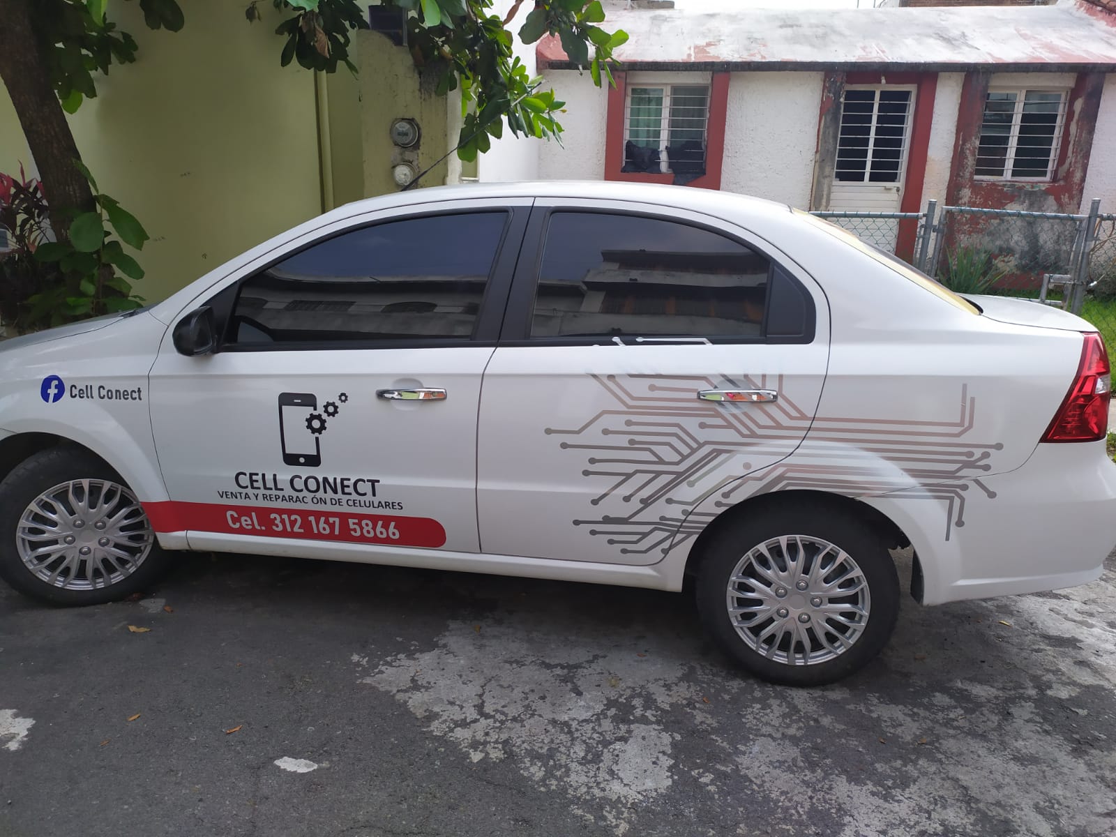 leetx-google-photo-78111-6 leetx-google-photo-78111-6