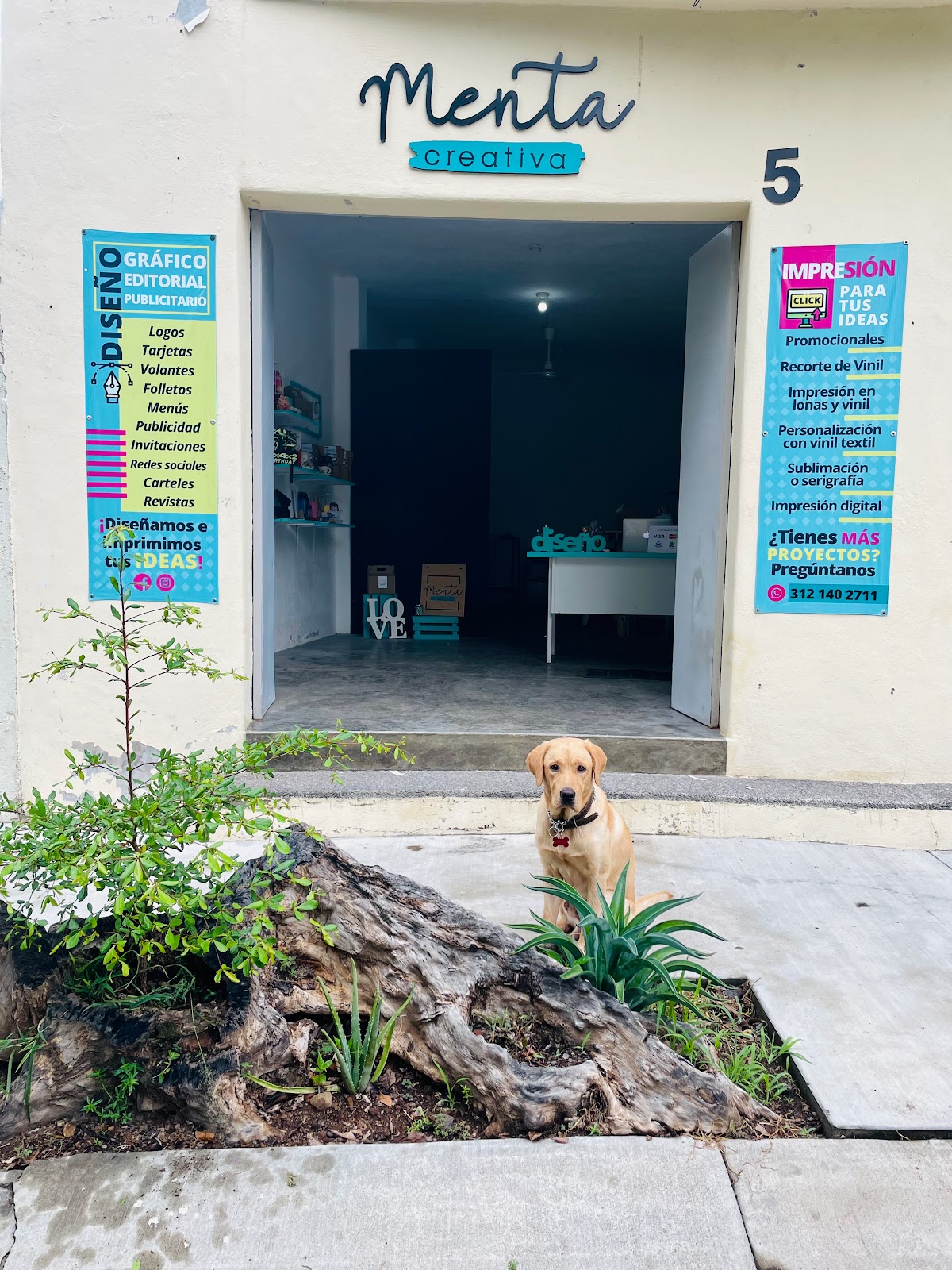 leetx-google-photo-78277-1