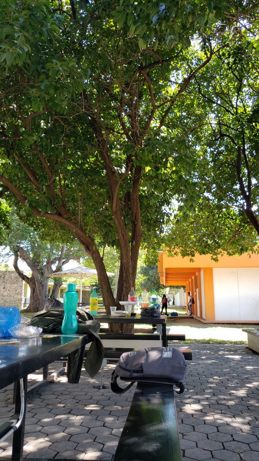 leetx-google-photo-78307-1