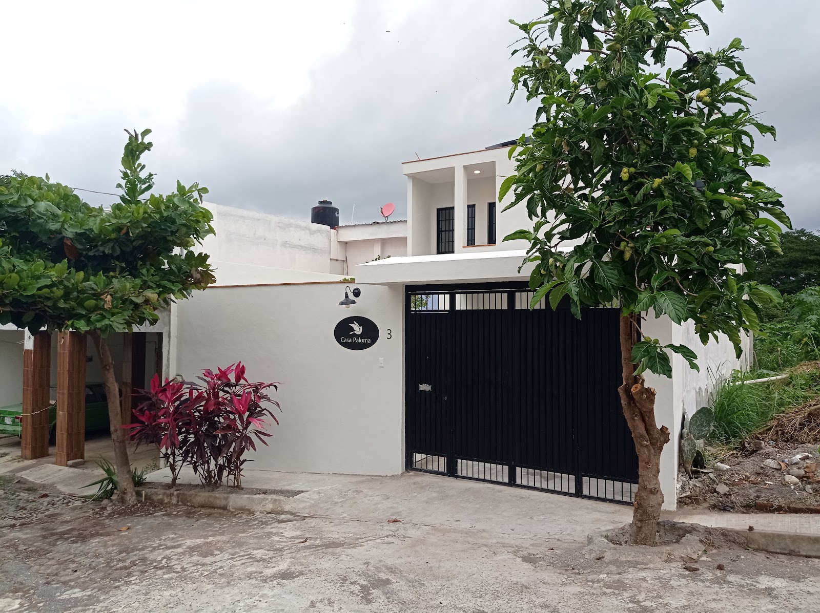 leetx-google-photo-78367-1