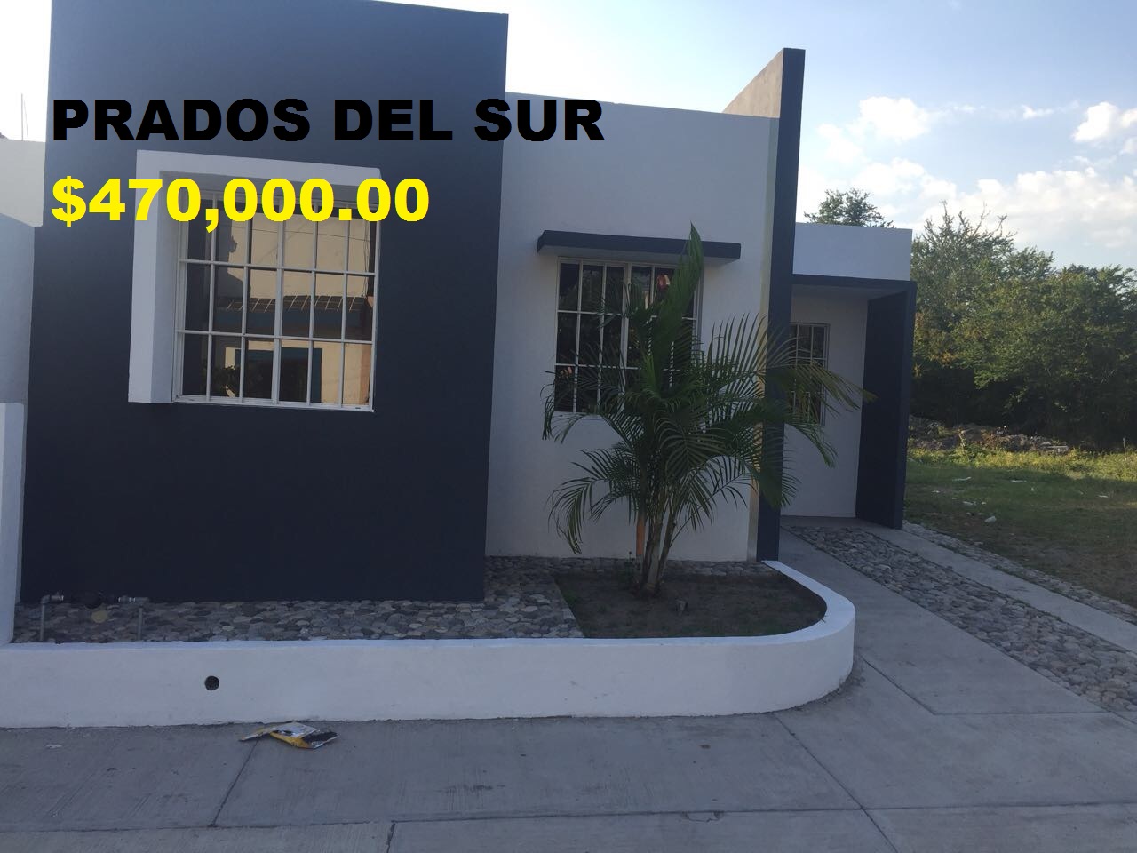 leetx-google-photo-78530-5 leetx-google-photo-78530-5