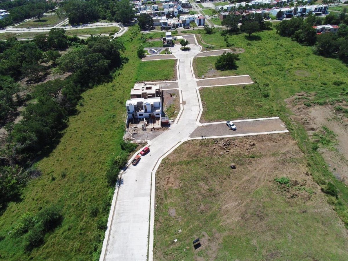 leetx-google-photo-78555-3 leetx-google-photo-78555-3