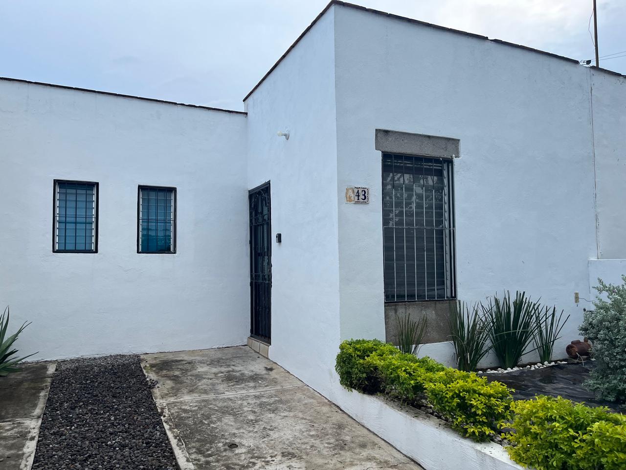 leetx-google-photo-78572-1