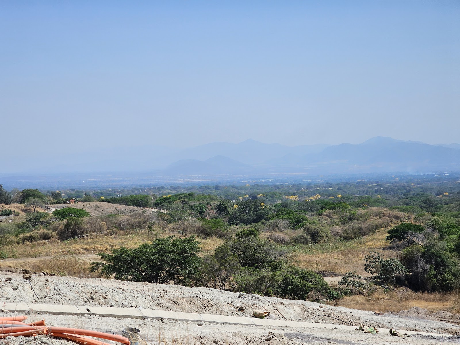 leetx-google-photo-78632-1