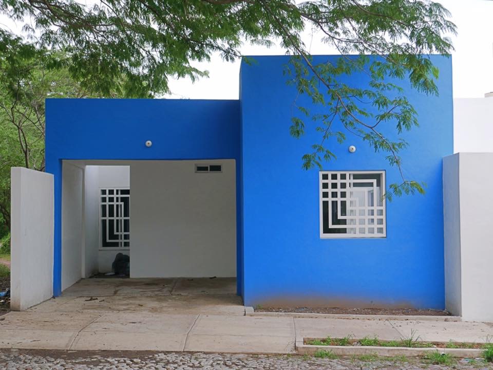 leetx-google-photo-78642-5 leetx-google-photo-78642-5