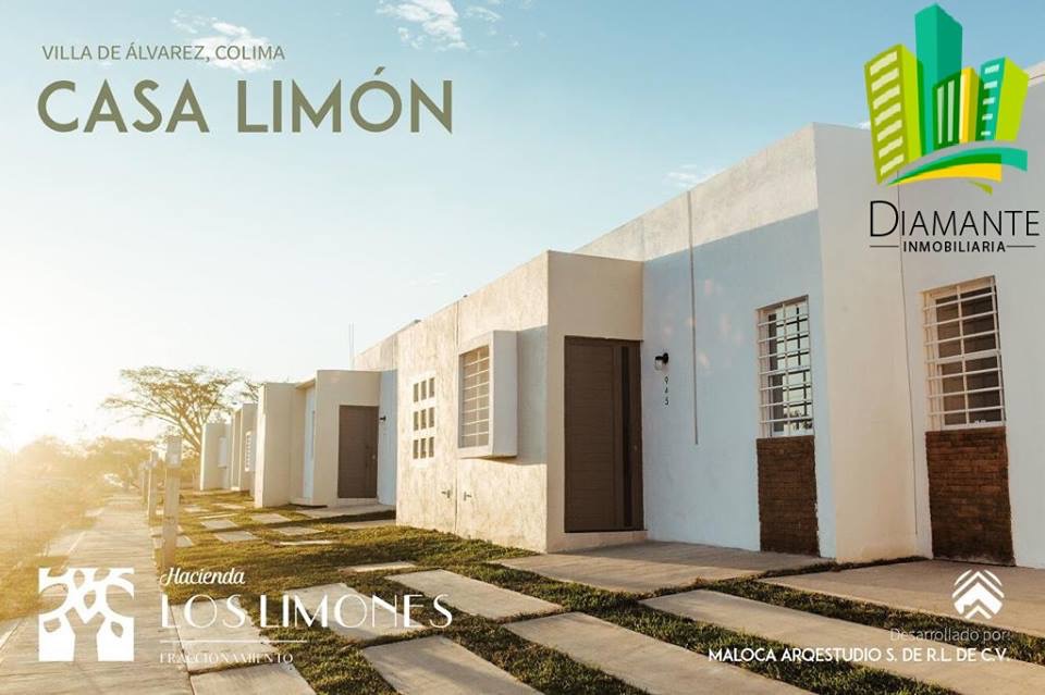 leetx-google-photo-78642-7 leetx-google-photo-78642-7