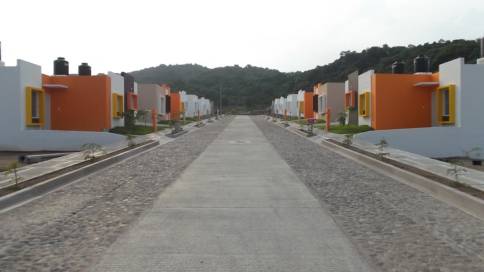 leetx-google-photo-78672-1