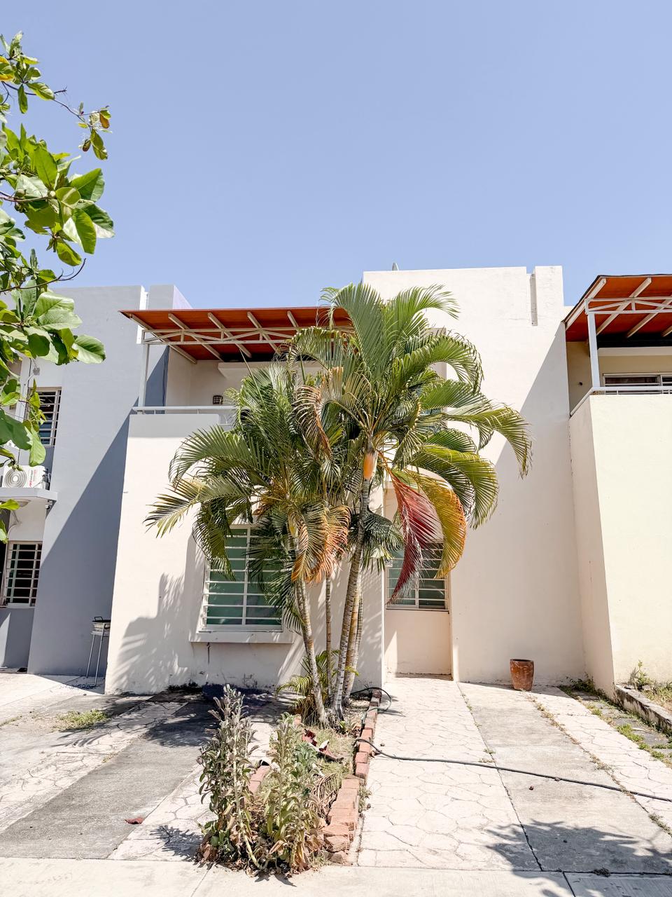 leetx-google-photo-78683-1