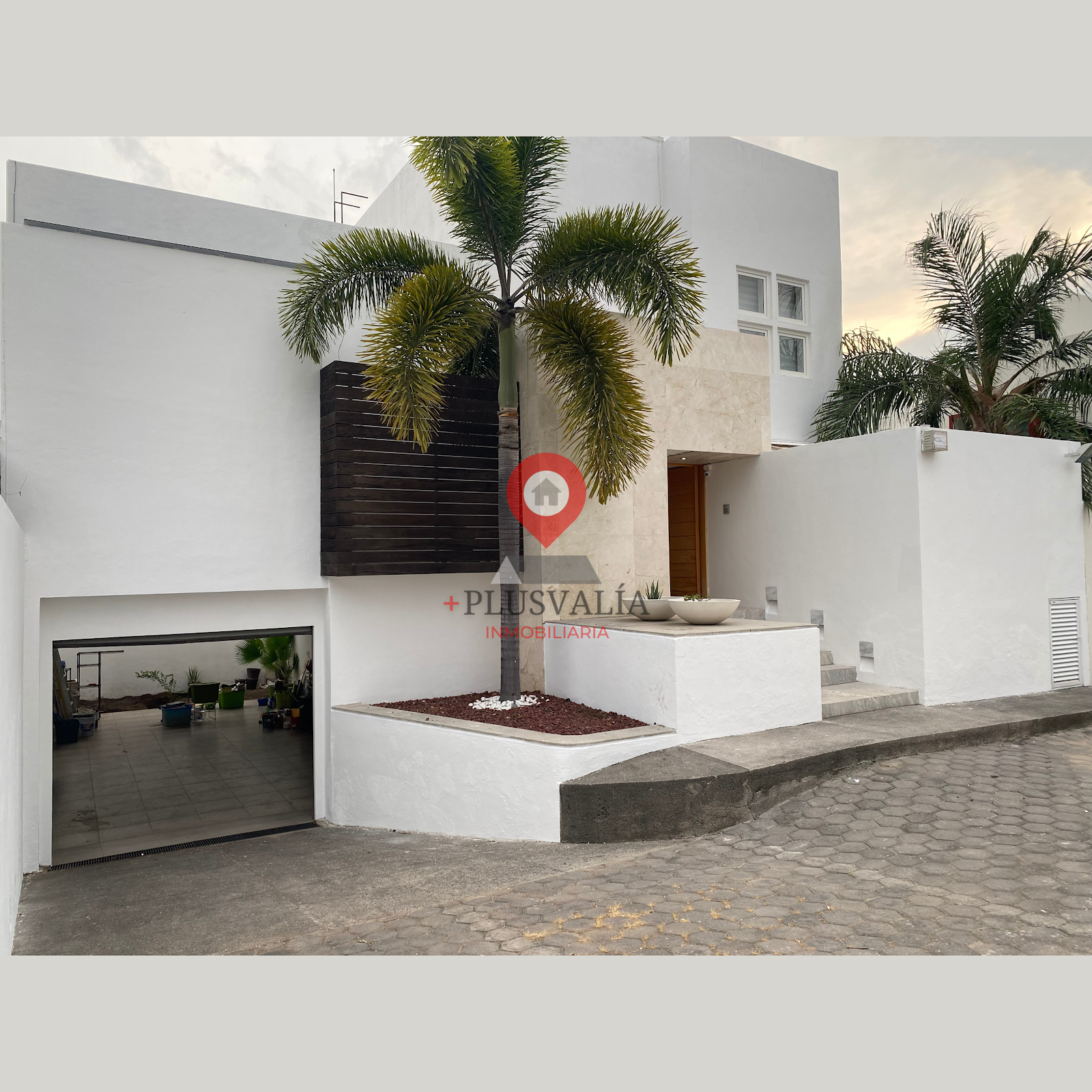 leetx-google-photo-78717-8 leetx-google-photo-78717-8